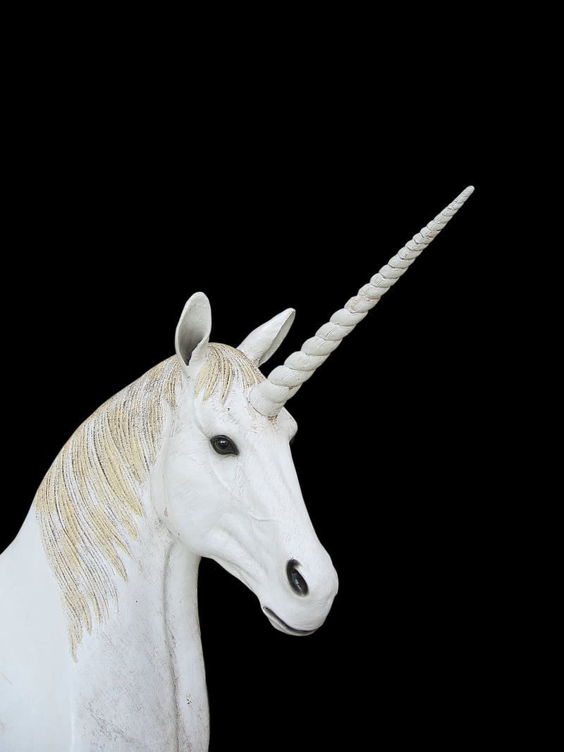 Unicorn Tote Bag